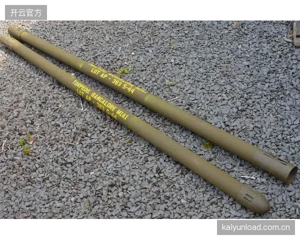 维萨在禁区内的威胁巨大，但一对一盘带能力不足或限制其单兵爆破作用。